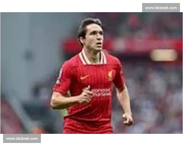 利物浦锁定莱昂尼!罗马诺确认兴趣但强调尚无实质性进展 利物浦锁定莱昂尼!罗马诺确认兴趣但强调尚无实质性进展