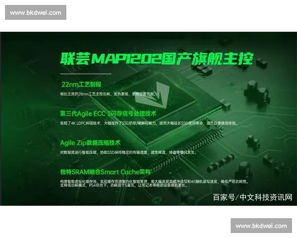 中东电竞新势力,阿联酋国家队蓄势待发! 中东电竞新势力,阿联酋国家队蓄势待发!